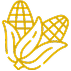 Maize